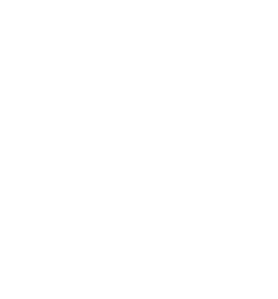decorum painters and decorators logo upscaled white